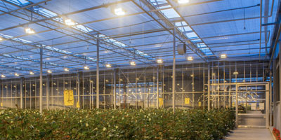 Agricultural Grow Lighting